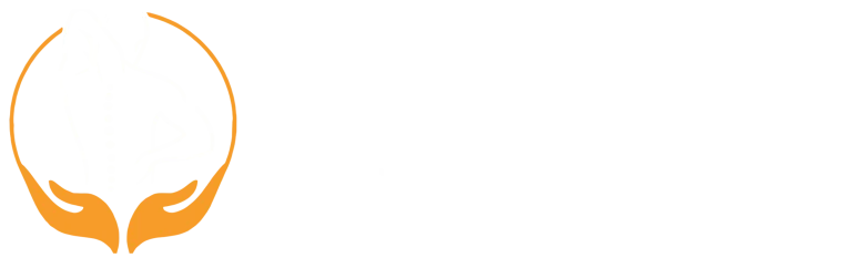 Pain Center Fizyoterapi ve Pilates Merkezi Logo